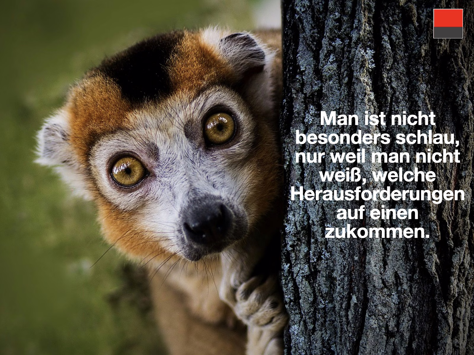 Man ist nicht besonders schlau, nur weil man nicht weiß, welche Herausforderungen auf einen zukommen.
