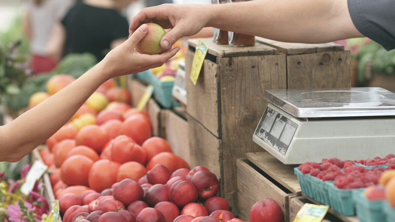 Kundengewinnung ist der Zweck von Marketing und Verkauf – 1×1 der Gründung